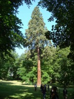 /album/chambourcy-14-mai-2011/dsc02606-jpg/