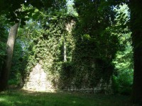 /album/chambourcy-14-mai-2011/dsc02646-jpg/
