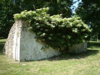 /album/chambourcy-14-mai-2011/dsc02656-jpg/
