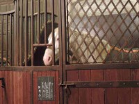 /album/la-voie-de-lecuyer/dscn3644-jpg/