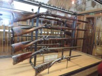 /album/musee-chasse-nature/dscn3876-jpg/