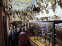 /album/musee-chasse-nature/dscn3880-jpg/