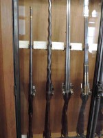 /album/musee-chasse-nature/dscn3883-jpg/