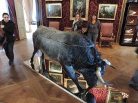 /album/musee-chasse-nature/dscn3911-jpg/