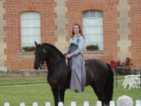 /album/haras-du-pin/dscn5993-jpg/