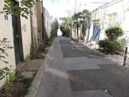 Promenade dans une autre rue typique : "La villa de l'hermitage"; Cette ruelle comporte de jolies petites maisons bordées de verdure, de courettes, de jardins et même d'un palmier !