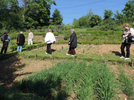 Un jardin médiéval permet de remettre au goût du jour des plantes insolites, aromatiques ou potagères et des céréales d'autrefois.