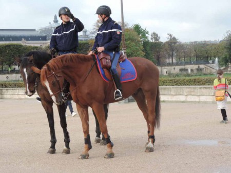 Encore des chevaux ! Mais ceux-ci sont bien vivants.