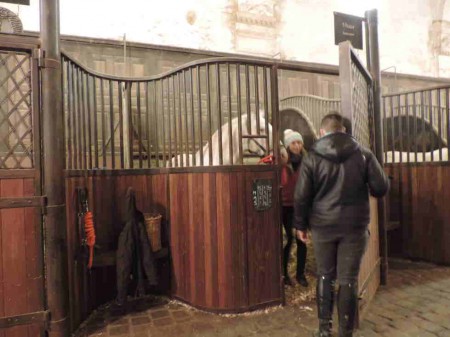 Les écuyers de l'Académie s'occupent avec plaisir de leurs amis les chevaux.