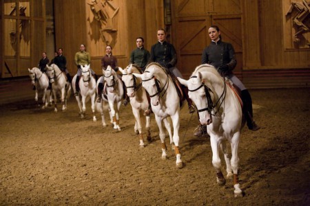 Saison 2014-2015. Spectacle au manège des grandes Ecuries de Versailles.