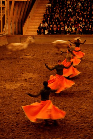 Les écuyères et les sorraias (race équine très ancienne du portugal) forment un ensemble artistiquement très maîtrisé.