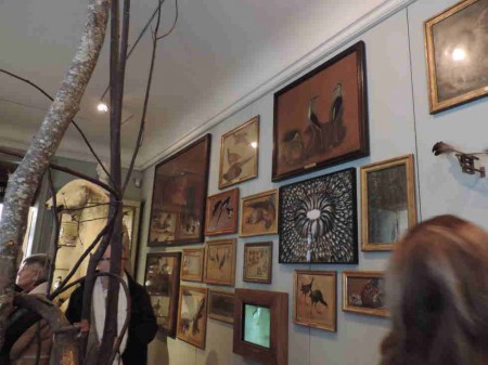 Salon des oiseaux. L'ornithologie est une discipline fort ancienne.