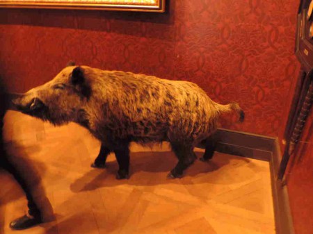 Dans l'antiquité, le lion patage avec le sanglier, une sorte de suprématie dans l'ordre du sauvage.