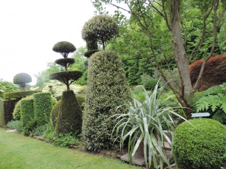 Direction l'arboretum.